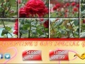 Игра Puzzle Craze - Rose Garden