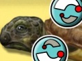 Игра Turtle Care