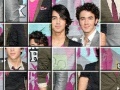 Игра Image Disorder Jonas Brothers