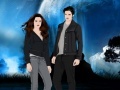 Игра Twilight Kiss-Eclipse