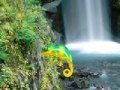 Игра Colorful Chameleon Sniper
