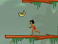 Игра Jungle Boogie