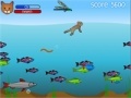 Игра Fish Catcher
