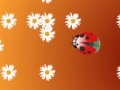 Игра Ladybug and flower