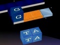 Игра WordKnot