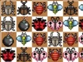 Игра Match the Bugz