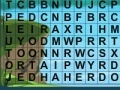 Игра Search words 9