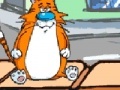 Игра Feed the cat