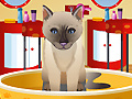 Игра Petz Fashion