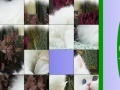 Игра Sweet White Cat Slide Puzzle