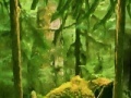 Игра Escape from the cage of a lion