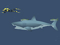 Ігра Mad Shark