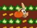 Игра Farm Rabbit