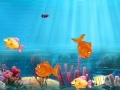 Игра Match the fish pairs