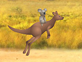 Игра Outback Winds