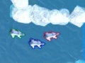 Игра Polar Bear Racing