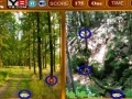 Игра Forest Similarities Game