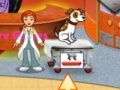 Игра Dr. Daisy Pet Vet