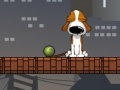 Игра Smart Dog