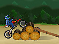 Игра Dirtbike Fun