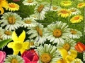 Игра Nature Flowers Puzzle
