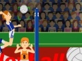 Игра Olympic Games Volleyball