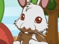 Игра Pet bunny