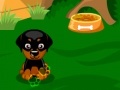 Игра Sweet Dog