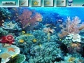 Игра Underwater World G2R