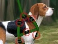 Игра Beagle training