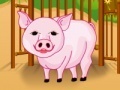Игра baby pig care