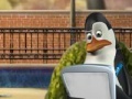 Игра The penguins of Madagascar - Gull Grabber