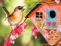 Игра Painting Birds Game