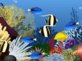 Игра Fish tank decoration