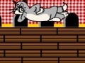 Игра Tom and Jerry escape