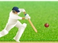 Игра Cricket Defend the Wicket!