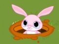 Игра Bunny thumps