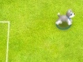 Игра Pet soccer