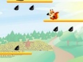 Игра Squirrel