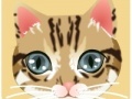 Игра Fashion cat eyes makeup