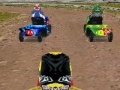 Игра Lawnmower Racing 3D