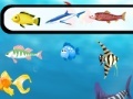 Игра Find the Fishes