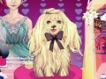 Игра Cute Puppy Show