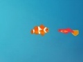 Игра Feed a small fish