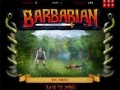 Игра Barbarian Warrior