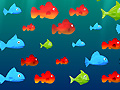 Игра Feed the Fish