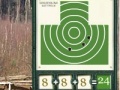 Игра Sharpshooter. The pistol.
