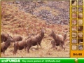 Игра Hidden Spots Animals