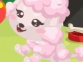 Игра Poodle care
