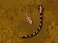 Игра Python